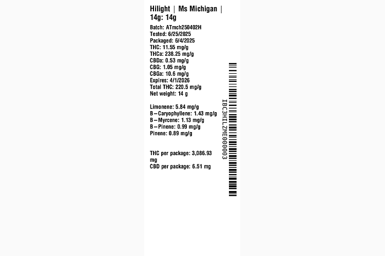 Ms Michigan by Hilight