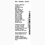 Amnesia by Zion
