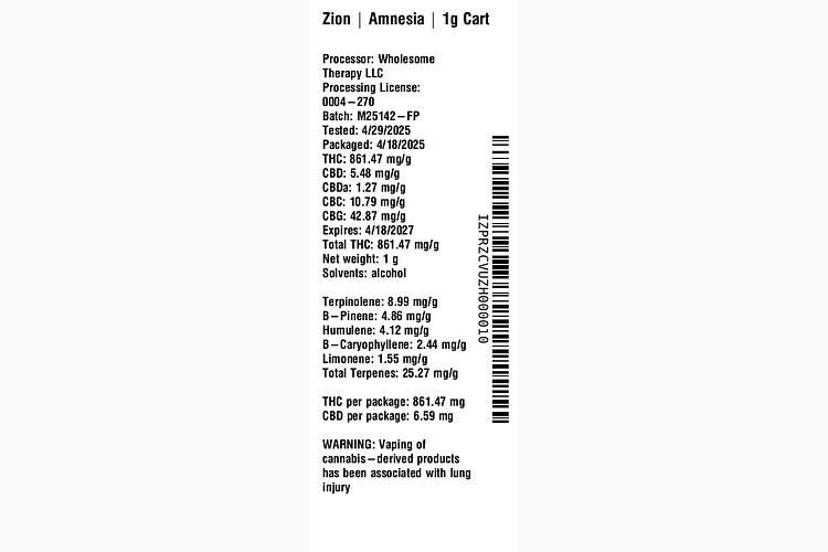 Amnesia by Zion