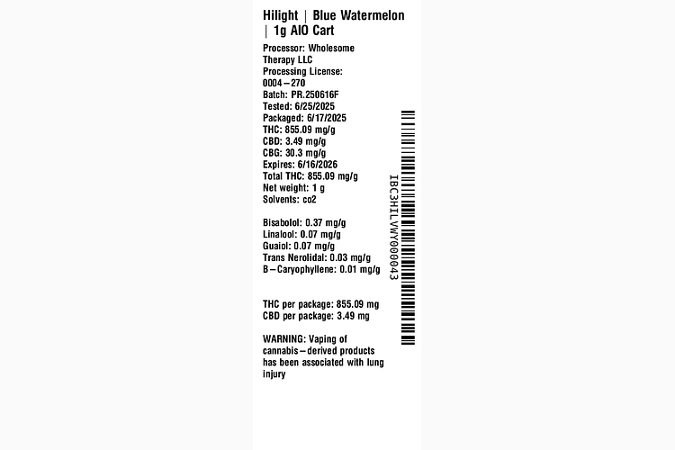 Blue Watermelon All-In-One by Hilight