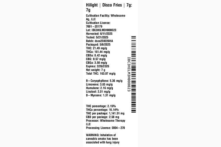 Disco Fries by Hilight