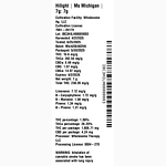 Ms Michigan by Hilight