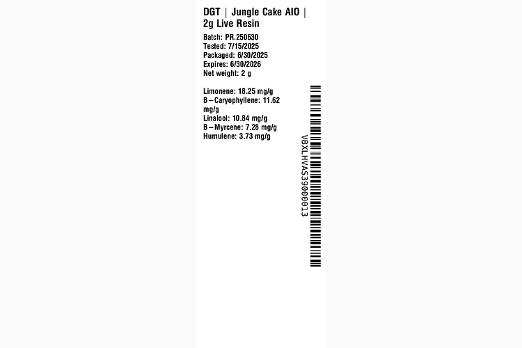 Jungle Cake by DGT
