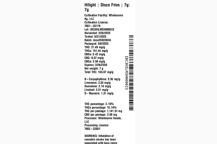 Disco Fries by Hilight