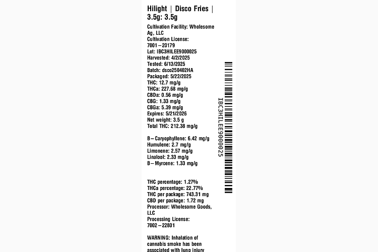 Disco Fries by Hilight