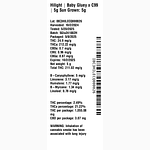 Baby Gluey x C99 by Hilight