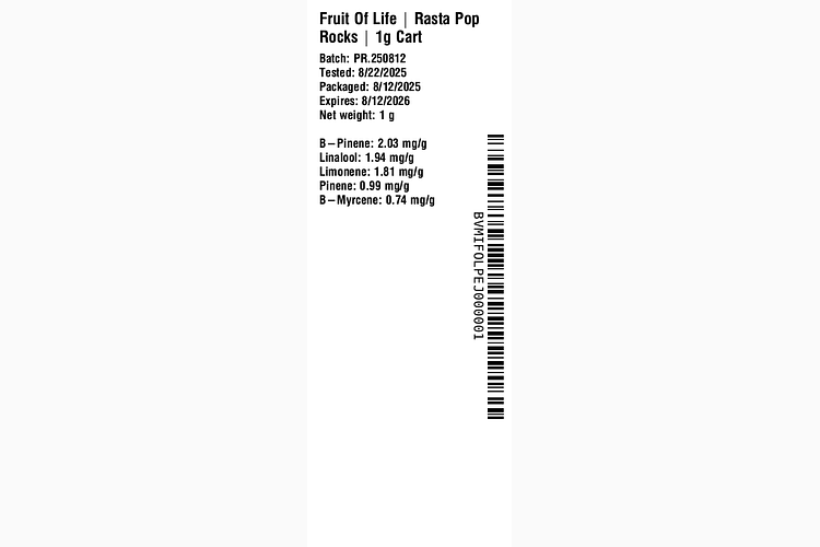 Rasta Pop Rock by Fruit of Life