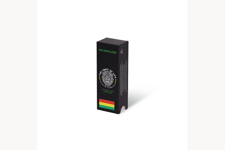 Rasta Pop Rock by Fruit of Life