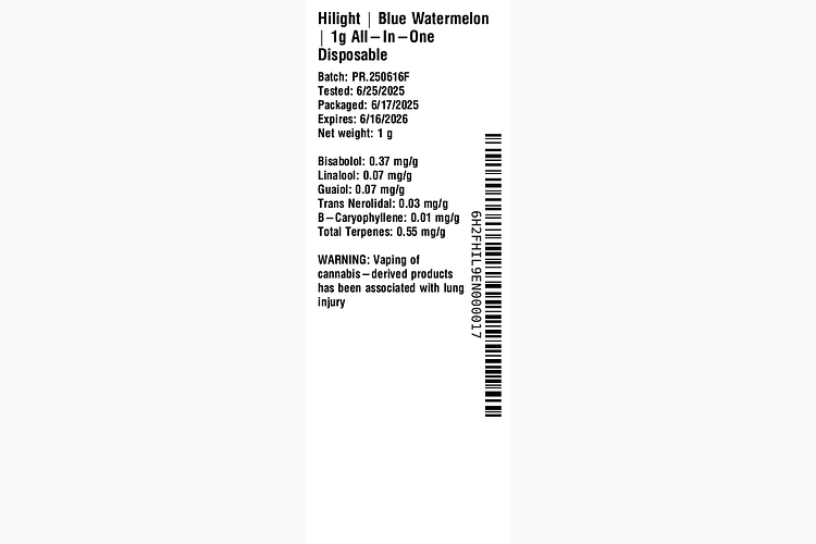 Blue Watermelon All-In-One by Hilight