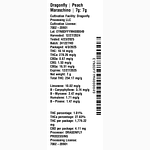 Peach Maraschino by Dragonfly