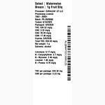 Watermelon Breeze Fruit Stiq by Select