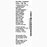 Lemonium Falcon by Pure Plan
