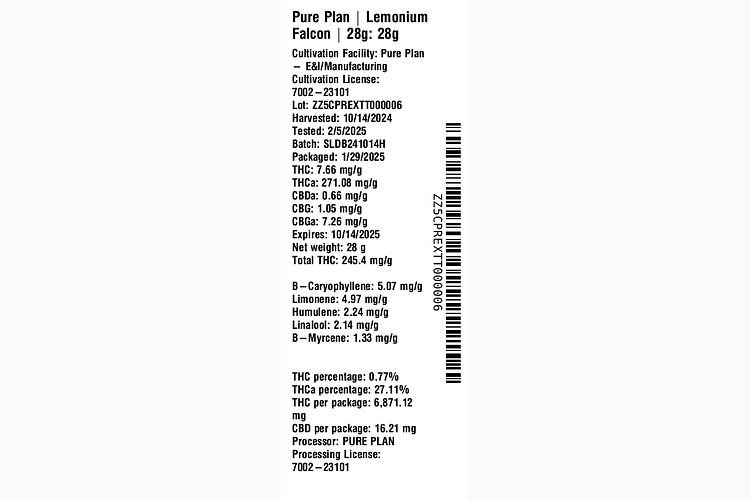 Lemonium Falcon by Pure Plan
