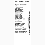 Amnesia by Zion