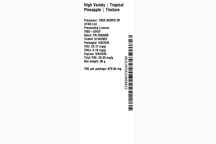 Tropical Pineapple by High Variety