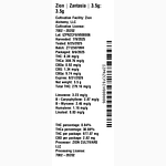 Zantasia by Zion