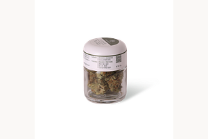 Kush Mints by Dragonfly