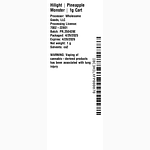 Pineapple Monster by Hilight