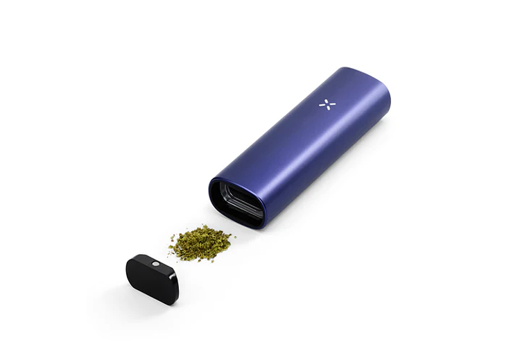 Plus Starter Kit by PAX