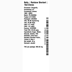 Rainbow Sherbert by Betty