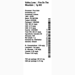 Fire On The Mountain by Valley Lows