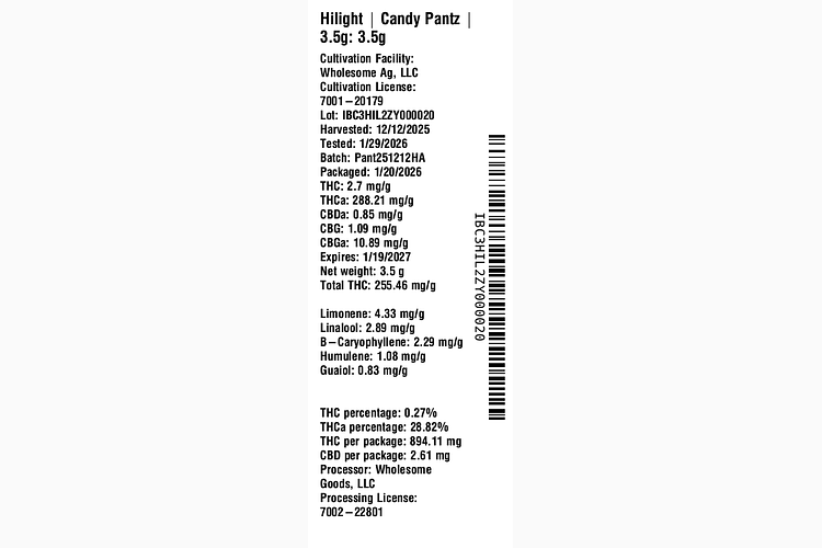 Candy Pantz by Hilight