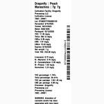 Peach Maraschino by Dragonfly