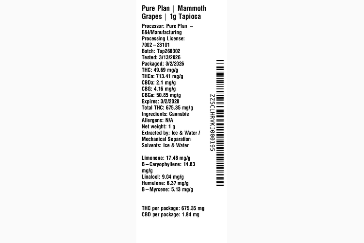 Mammoth Grapes by Pure Plan