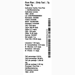 Dirty Taxi by Pure Plan