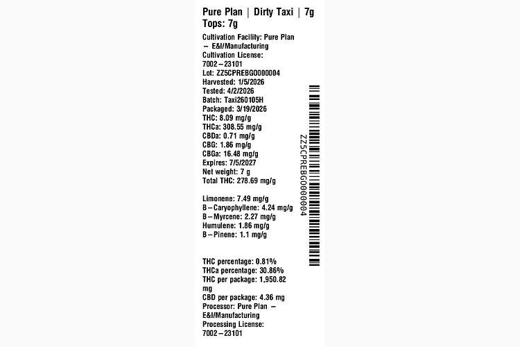 Dirty Taxi by Pure Plan