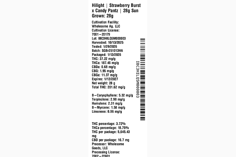 Strawberry Burst x Candy Pantz by Hilight