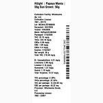 Papaya Mania by Hilight