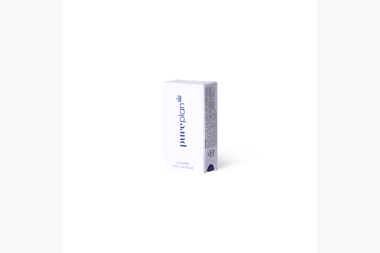 Blue Bear by Pure Plan