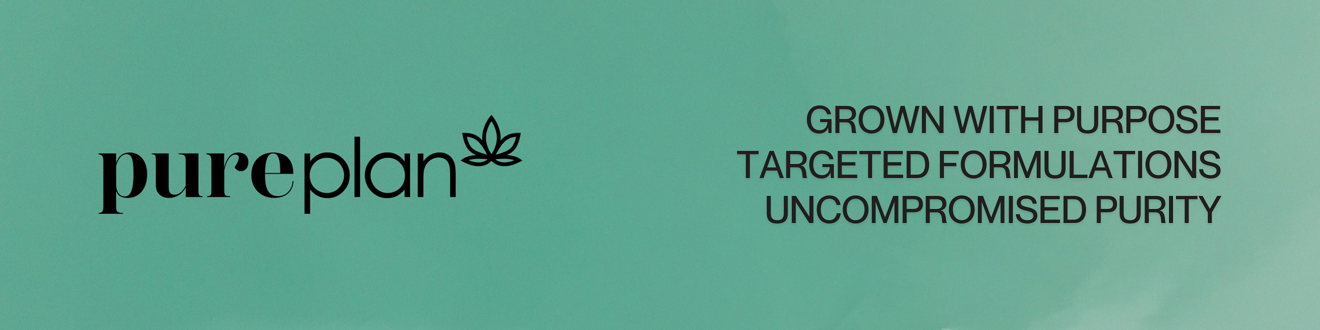 Pure Plan Cover Image