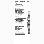 Funky Fuel by Hilight