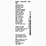 Candy Rain by Hilight