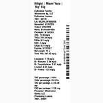 Miami Yayo by Hilight