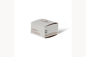 Drunken Lobzter by WholesomeCo