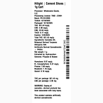 Cement Shoes by Hilight