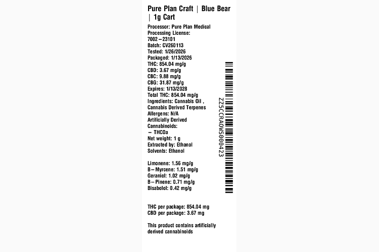 Blue Bear by Pure Plan