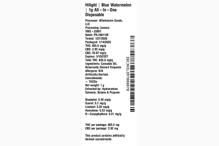 Blue Watermelon All-In-One by Hilight