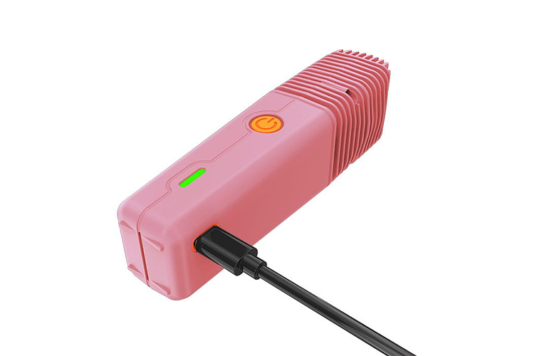 Veazy by Storz & Bickel