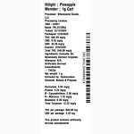 Pineapple Monster by Hilight