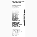 Pop The Trunk by Pure Plan