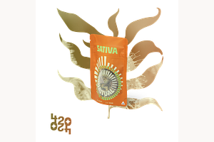 Mustard Tiger by Ritual