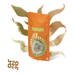 Mustard Tiger by Ritual