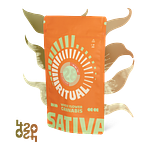 Mustard Tiger by Ritual