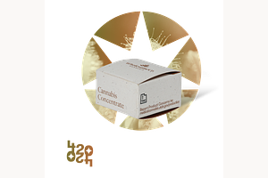 Afterglow by WholesomeCo