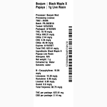 Black Maple X Papaya by Boojum