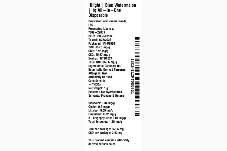 Blue Watermelon All-In-One by Hilight